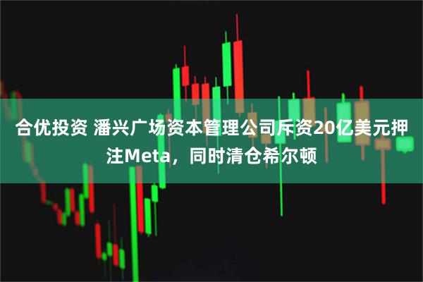 合优投资 潘兴广场资本管理公司斥资20亿美元押注Meta，同时清仓希尔顿
