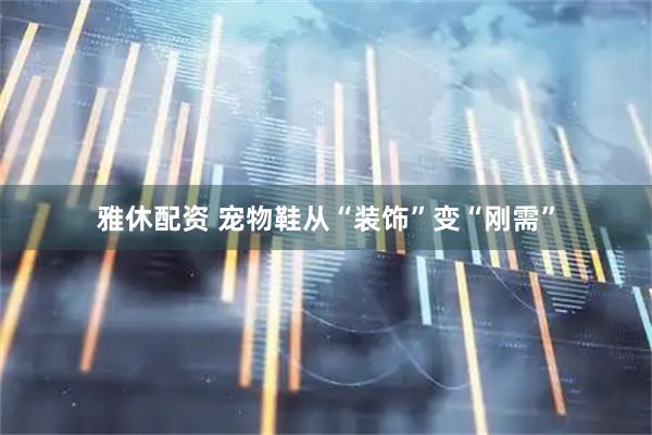 雅休配资 宠物鞋从“装饰”变“刚需”