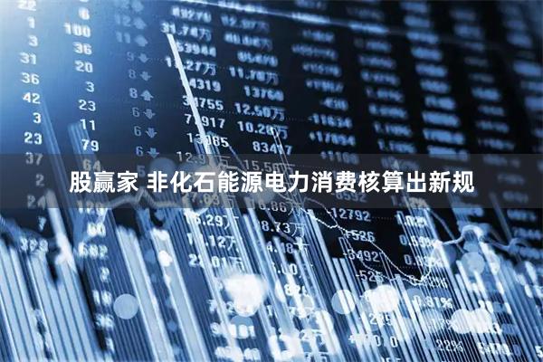 股赢家 非化石能源电力消费核算出新规