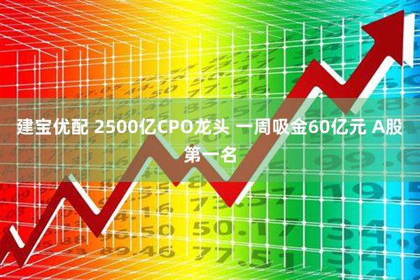建宝优配 2500亿CPO龙头 一周吸金60亿元 A股第一名